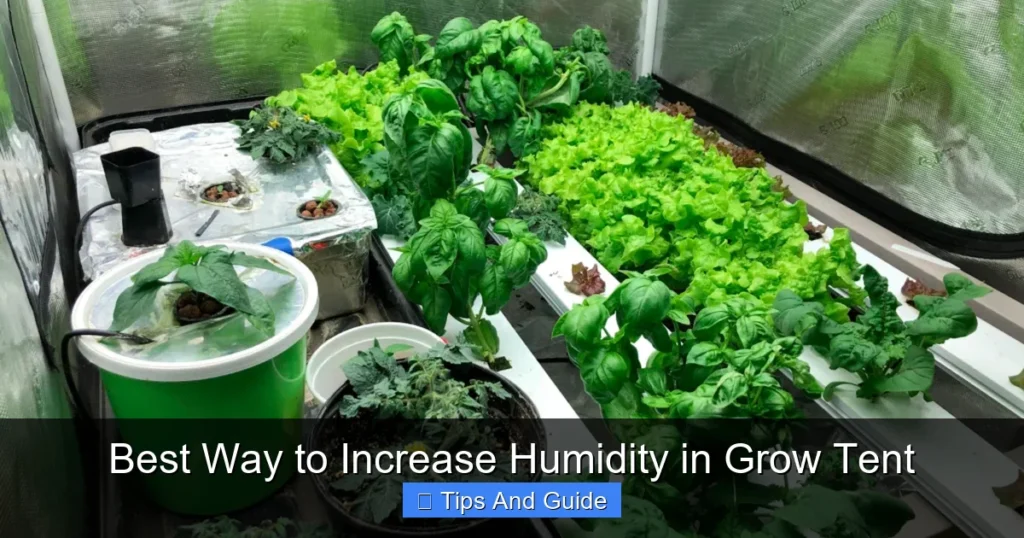 Best Way to Increase Humidity in Grow Tent