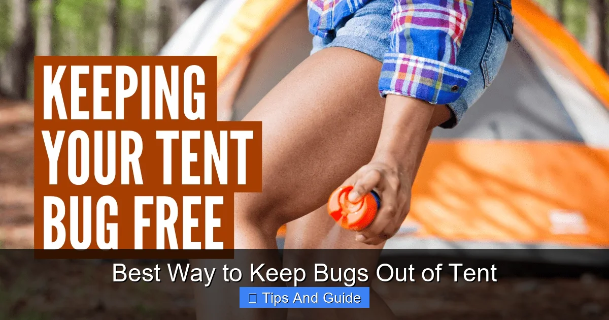 Best Way to Keep Bugs Out of Tent