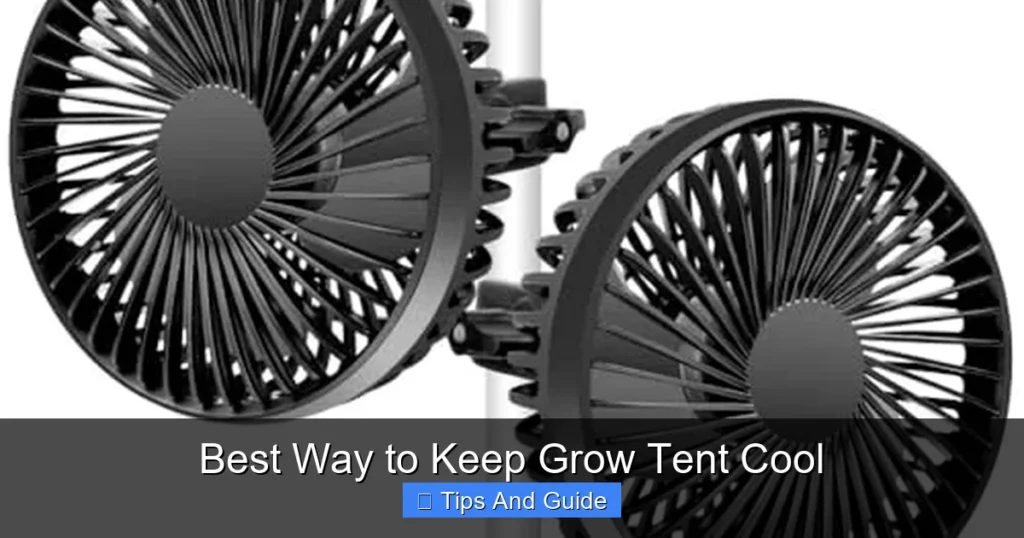 Best Way to Keep Grow Tent Cool
