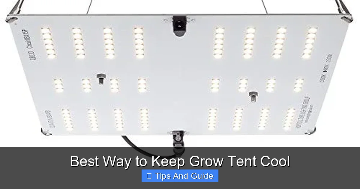 Best Way to Keep Grow Tent Cool