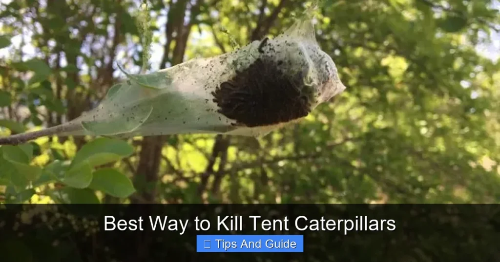 Best Way to Kill Tent Caterpillars