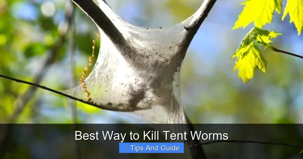 Best Way to Kill Tent Worms