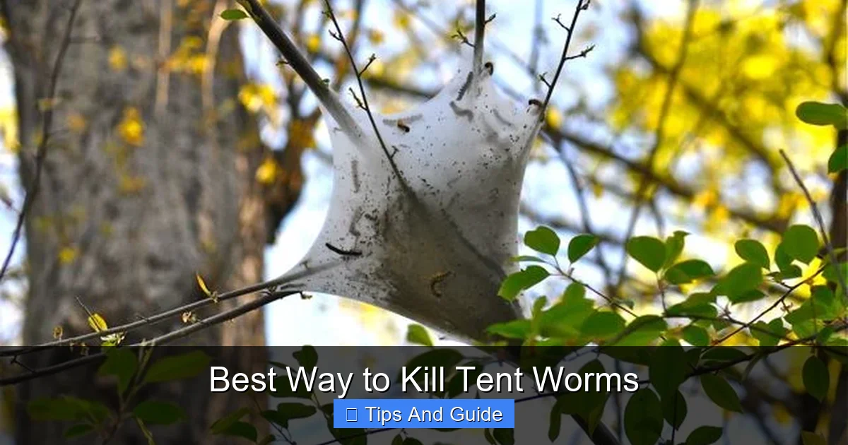 Best Way to Kill Tent Worms