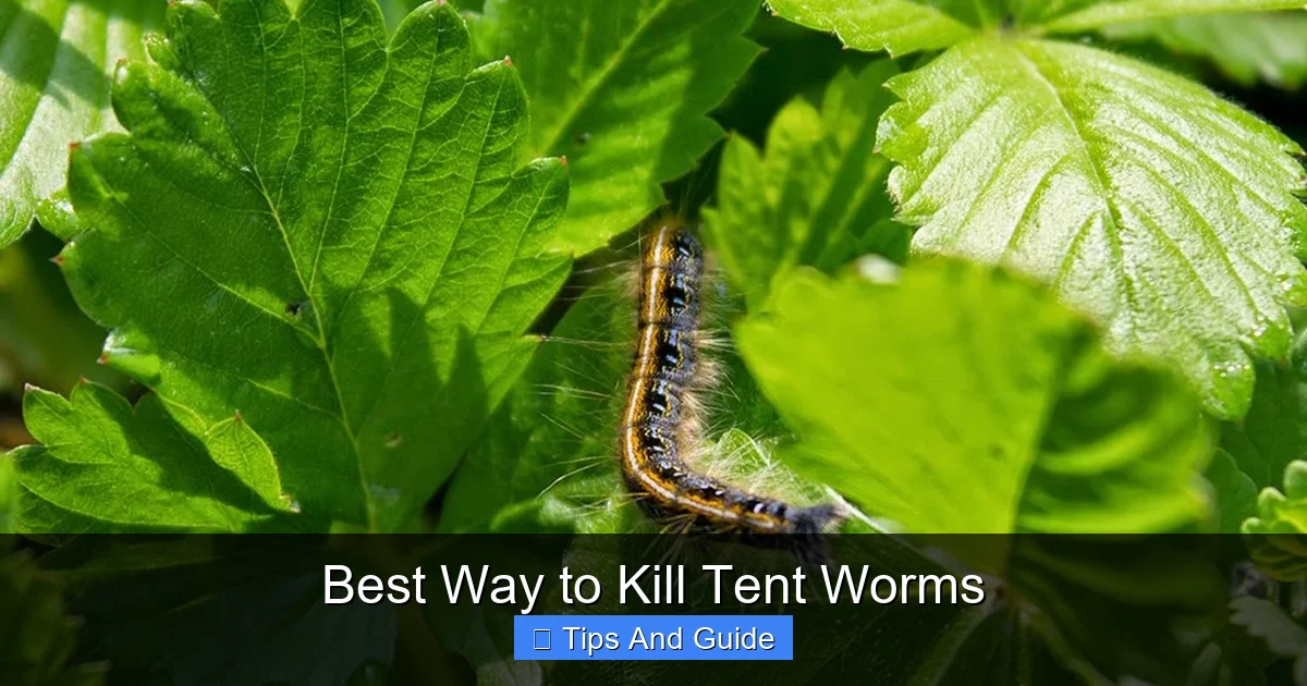 Best Way to Kill Tent Worms
