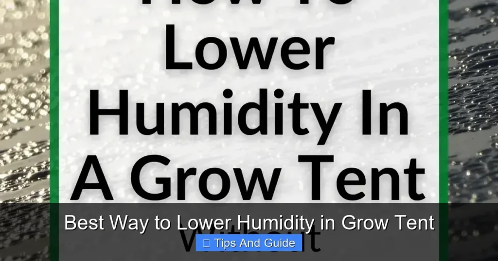 Best Way to Lower Humidity in Grow Tent