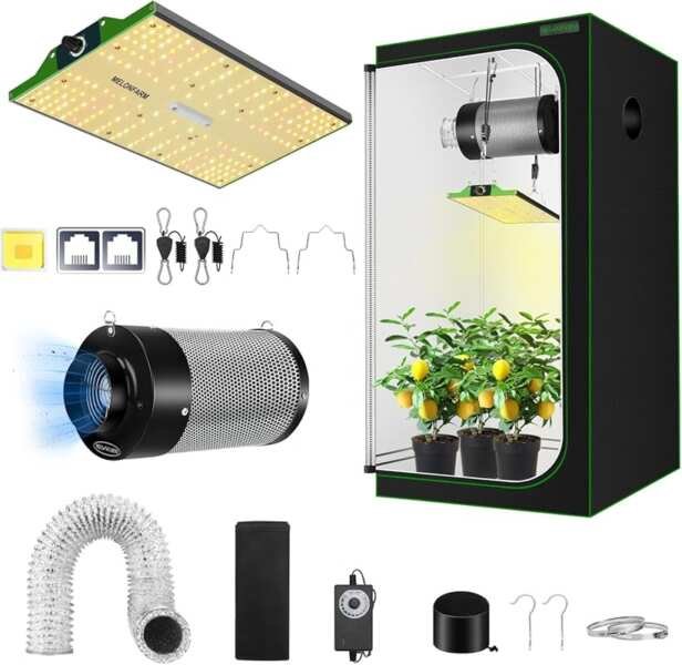 6 Expert Beginner Grow Tent Setups for Success