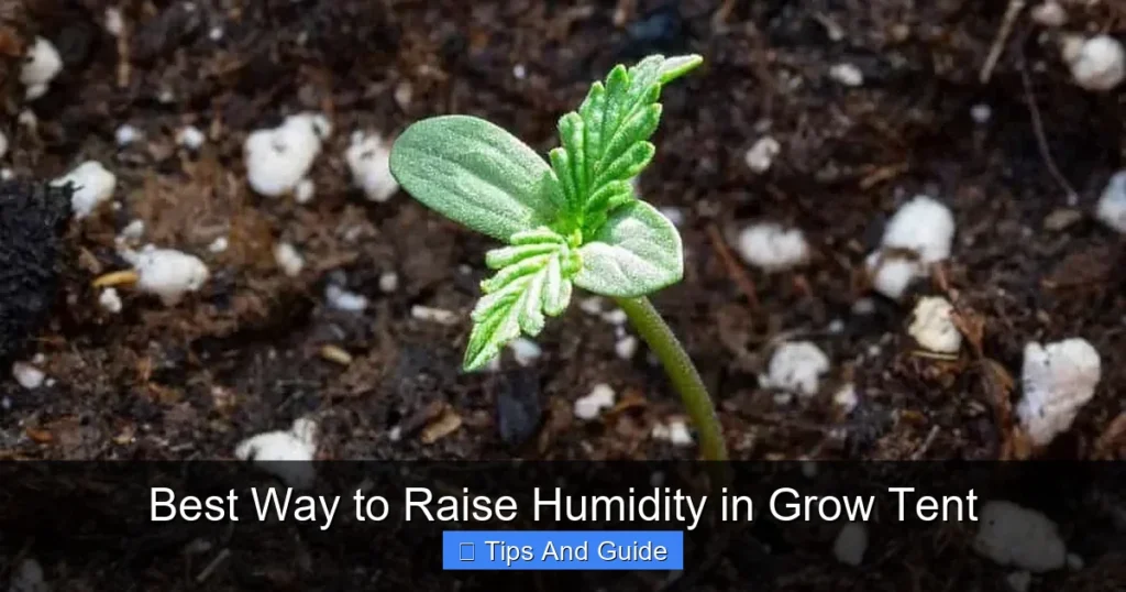 Best Way to Raise Humidity in Grow Tent