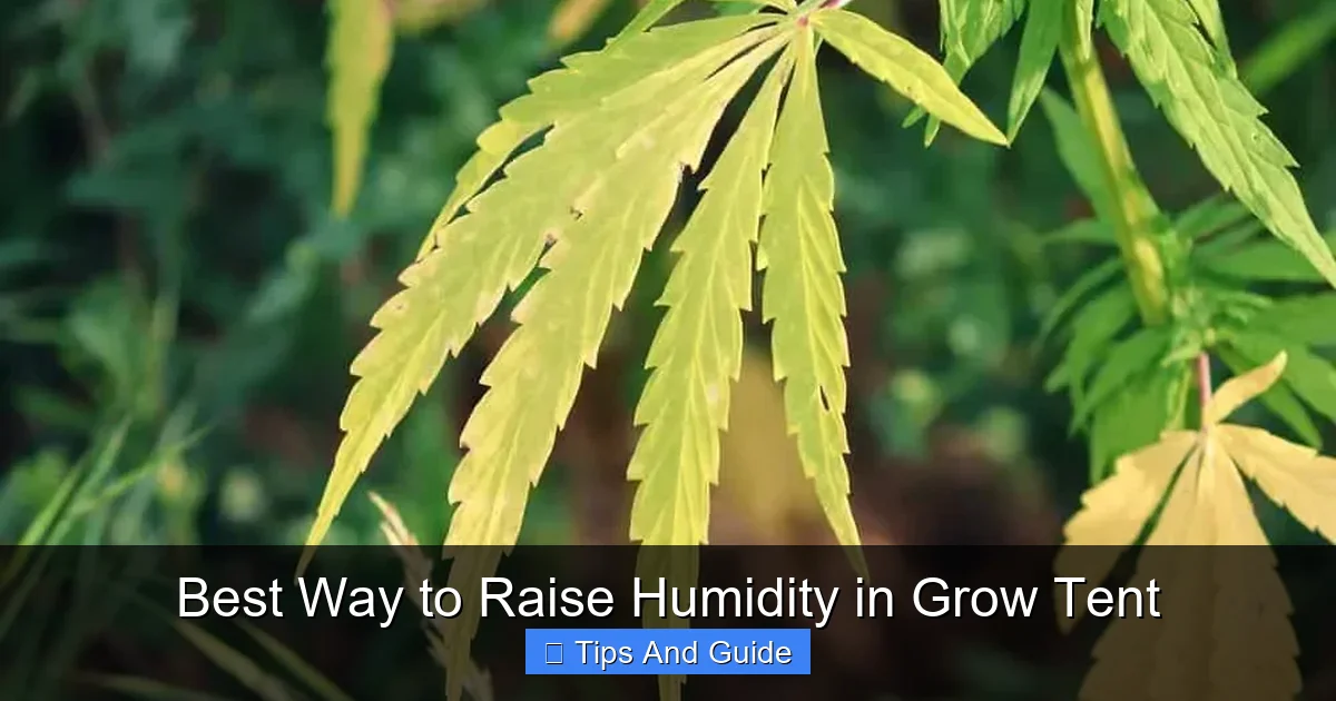 Best Way to Raise Humidity in Grow Tent