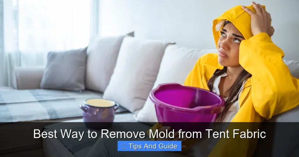 Best Way to Remove Mold from Tent Fabric