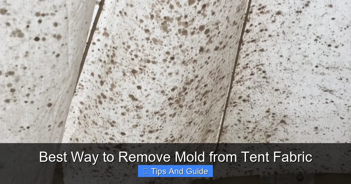 Best Way to Remove Mold from Tent Fabric