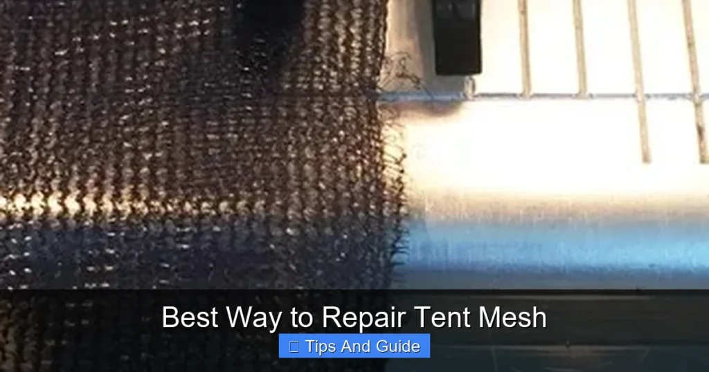 Best Way to Repair Tent Mesh