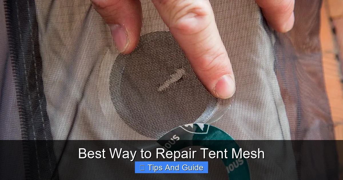 Best Way to Repair Tent Mesh