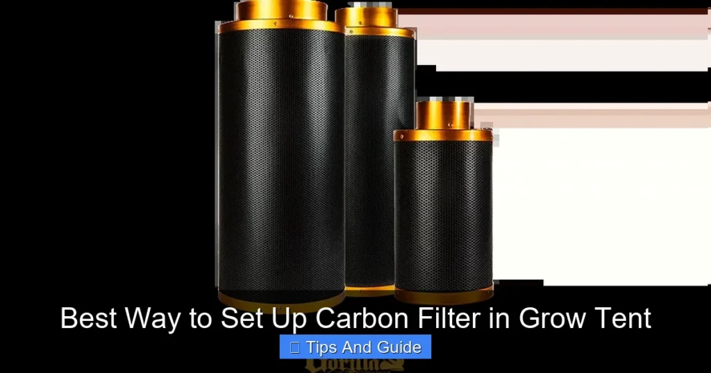 Best Way to Set Up Carbon Filter in Grow Tent