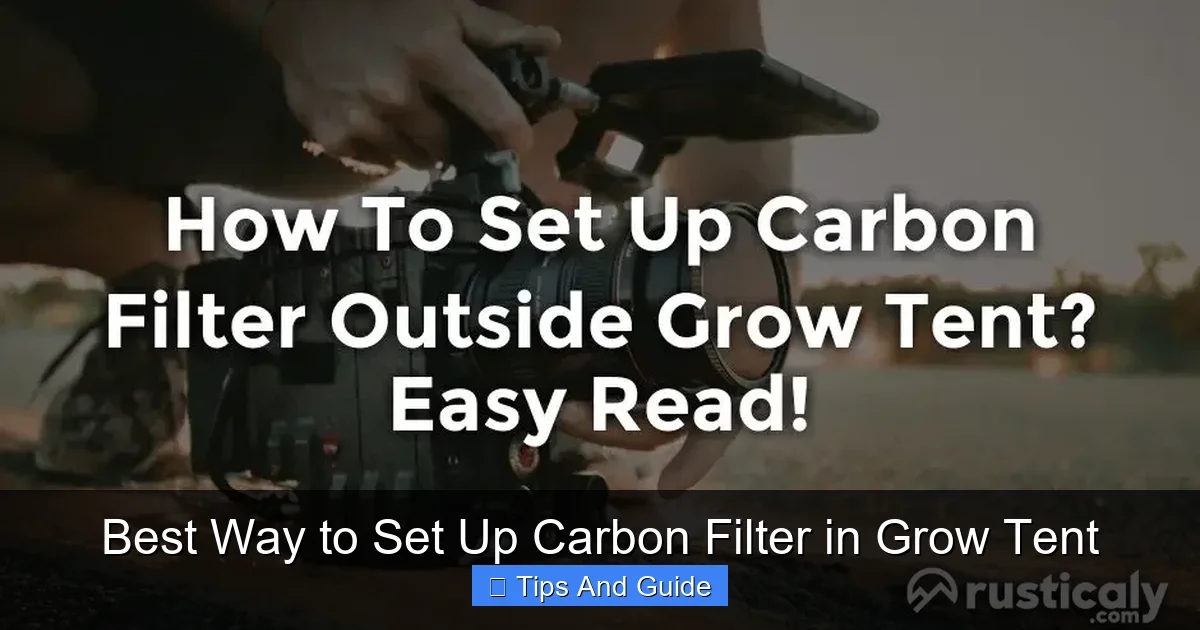 Best Way to Set Up Carbon Filter in Grow Tent