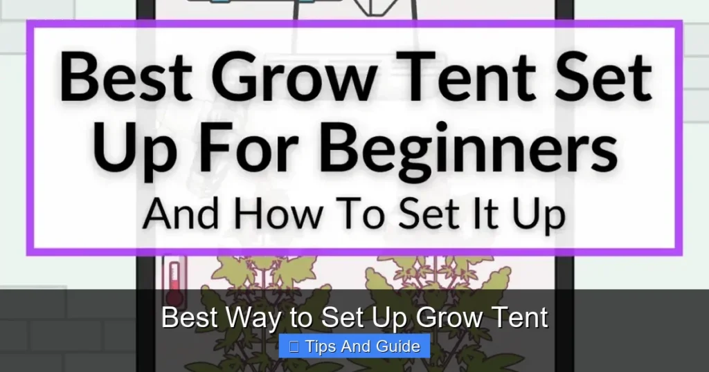 Best Way to Set Up Grow Tent