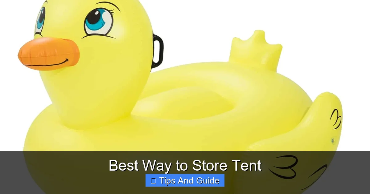 Best Way to Store Tent