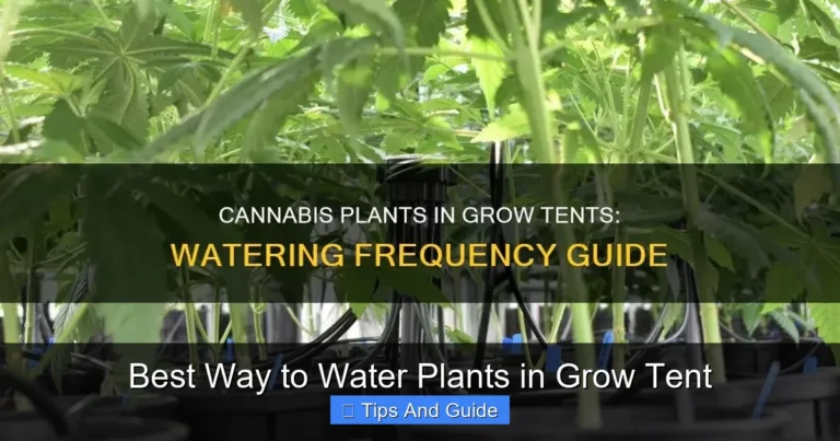 Best Way to Water Plants in Grow Tent