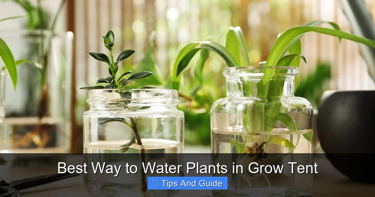 Best Way to Water Plants in Grow Tent