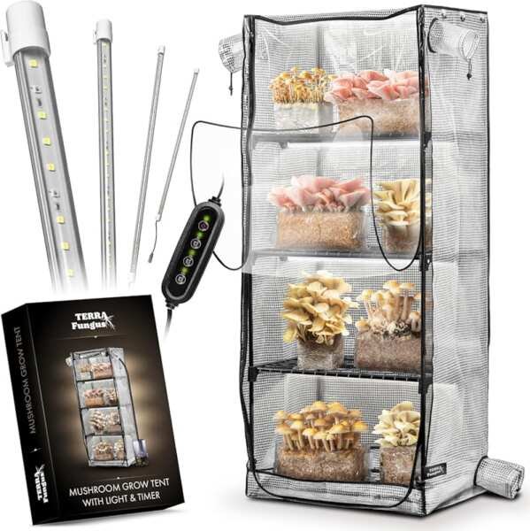 5 Best Tents for Growing Mushrooms in 2024