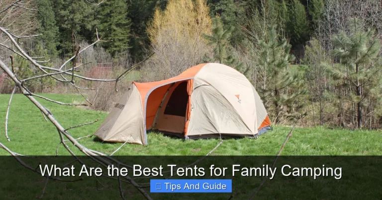 What Are the Best Tents for Family Camping