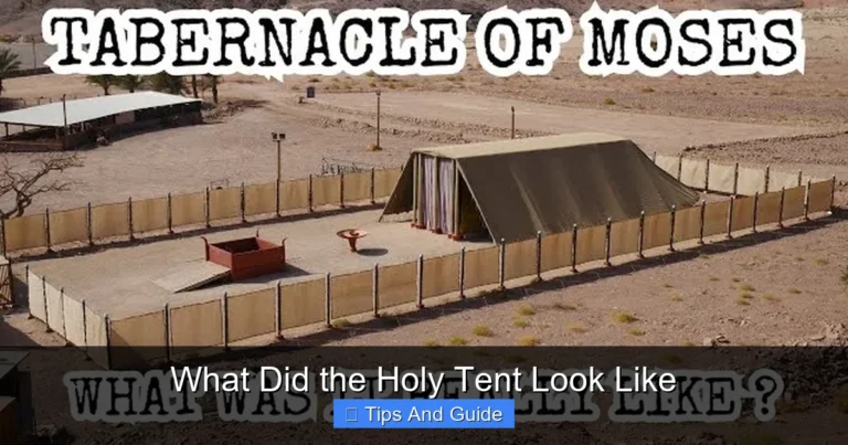 What Did the Holy Tent Look Like