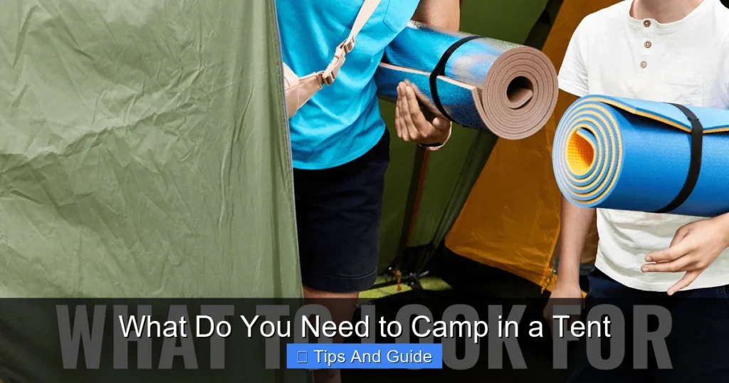 What Do You Need to Camp in a Tent What Do You Need to Camp in a Tent