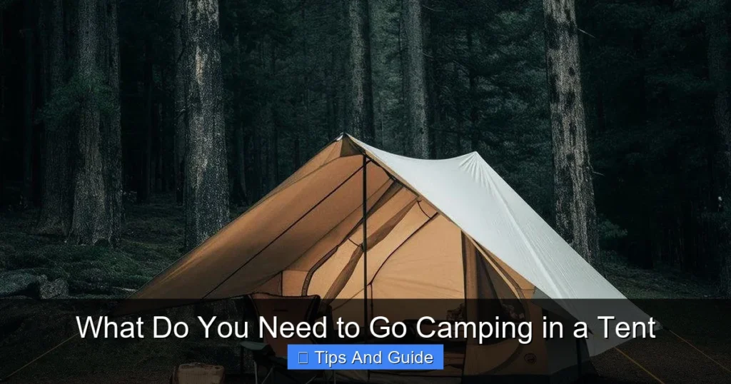 What Do You Need to Go Camping in a Tent
