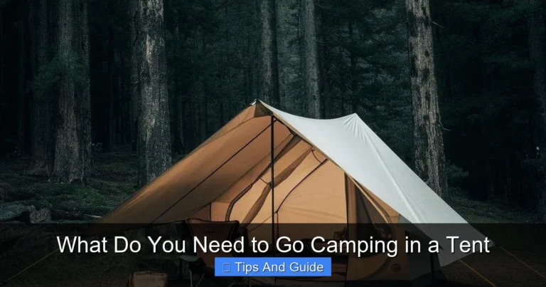 What Do You Need to Go Camping in a Tent