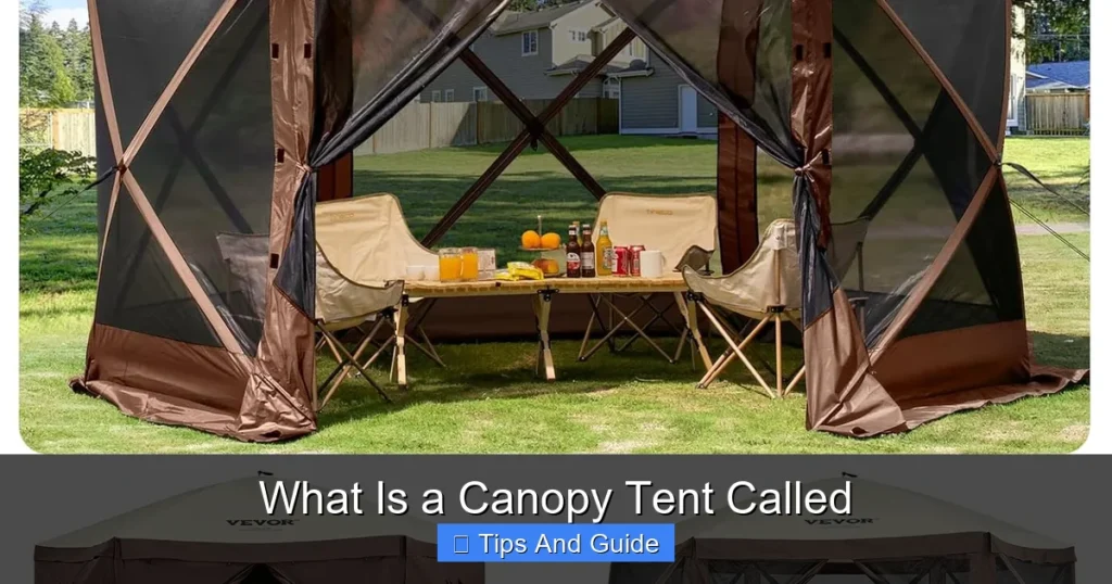 What Is a Canopy Tent Called What Is a Canopy Tent Called