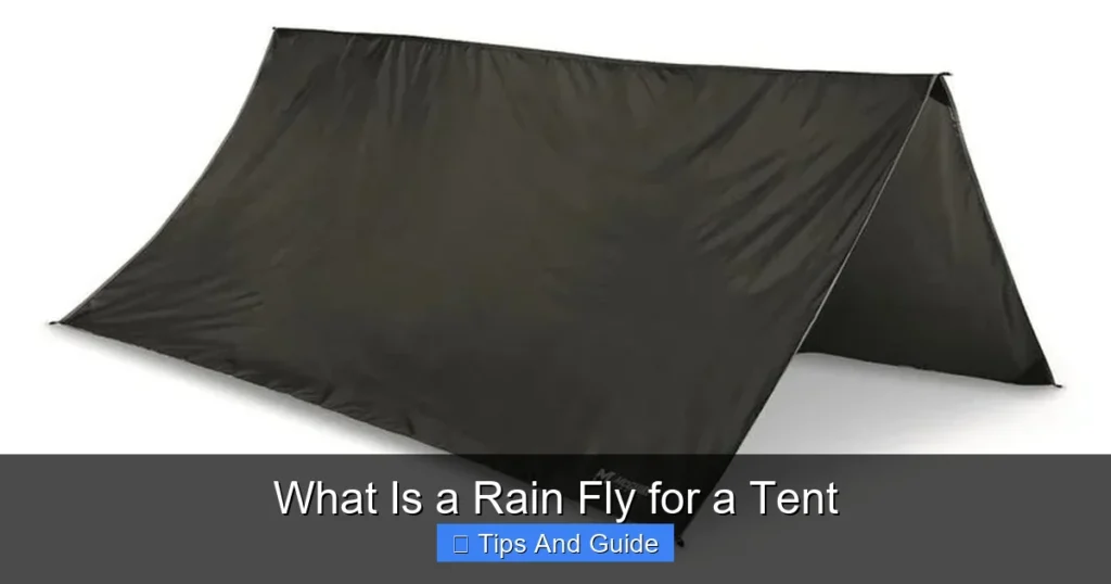 What Is a Rain Fly for a Tent What Is a Rain Fly for a Tent