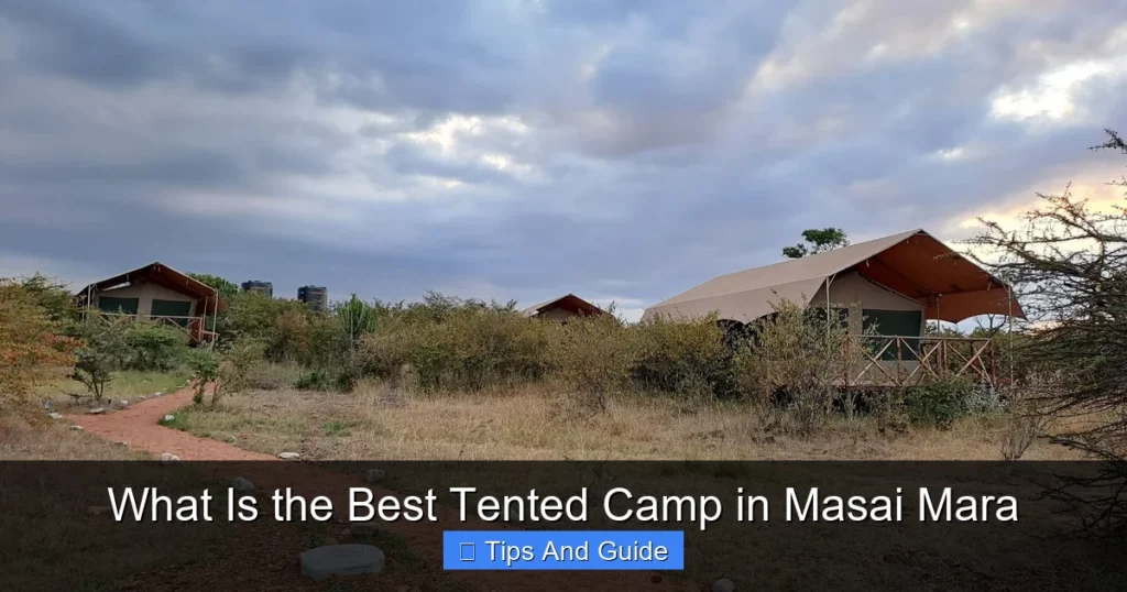 What Is the Best Tented Camp in Masai Mara What Is the Best Tented Camp in Masai Mara