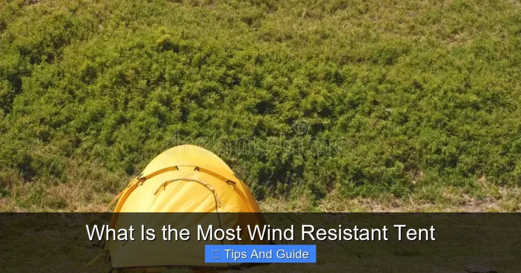 What Is the Most Wind Resistant Tent What Is the Most Wind Resistant Tent