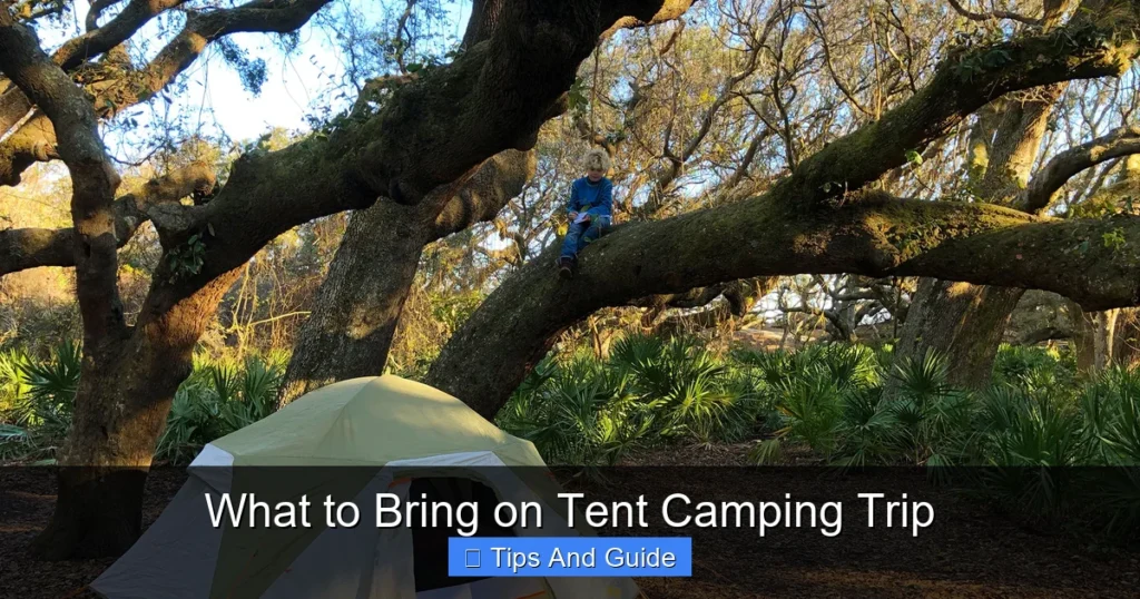 What to Bring on Tent Camping Trip What to Bring on Tent Camping Trip