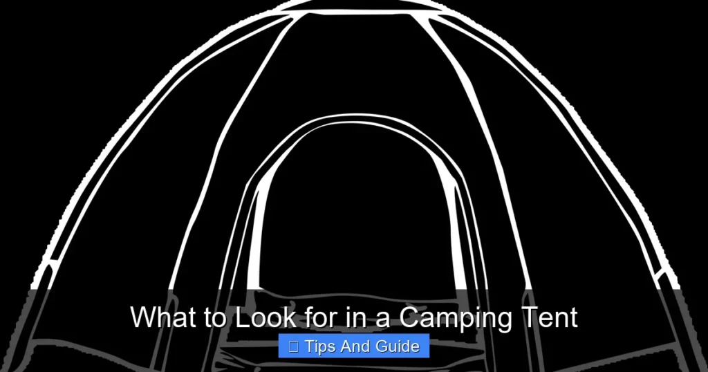 What to Look for in a Camping Tent What to Look for in a Camping Tent