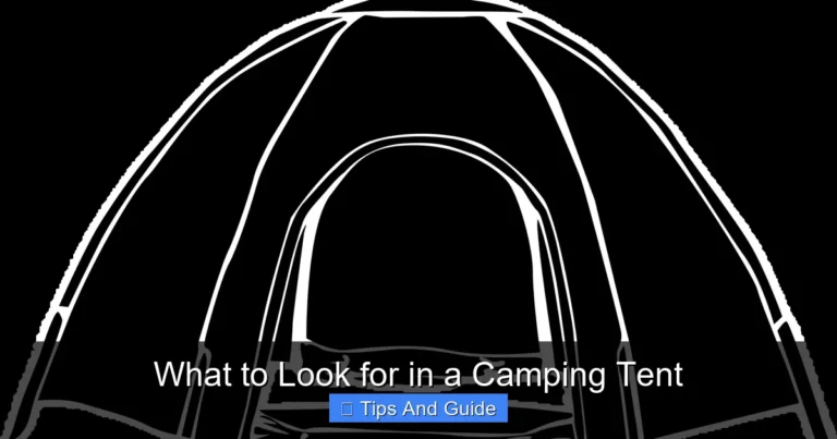What to Look for in a Camping Tent