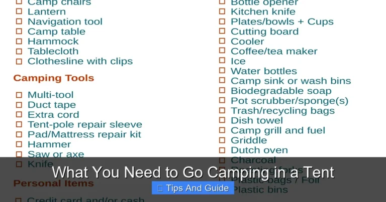 What You Need to Go Camping in a Tent