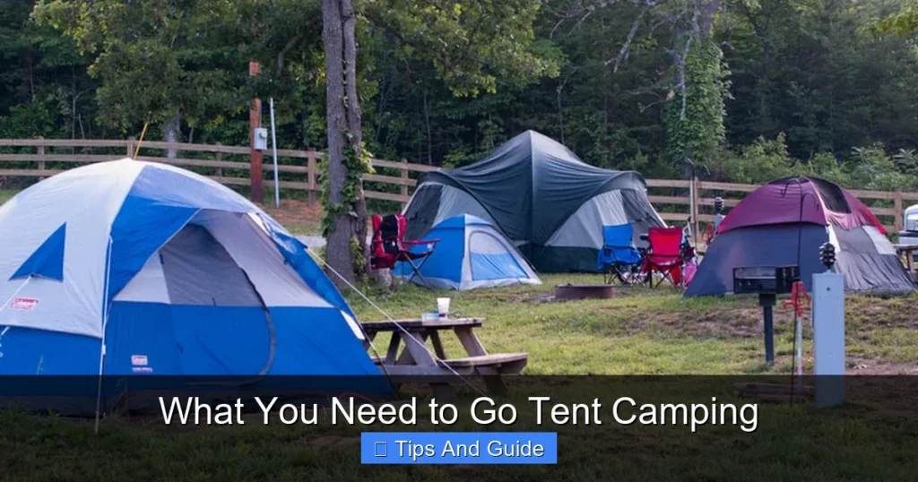 What You Need to Go Tent Camping