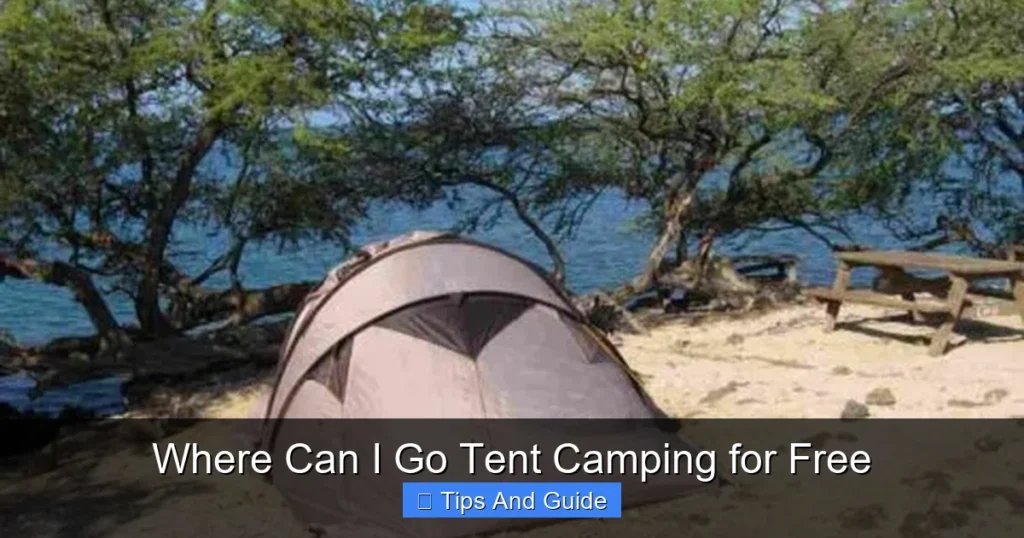Where Can I Go Tent Camping for Free Where Can I Go Tent Camping for Free