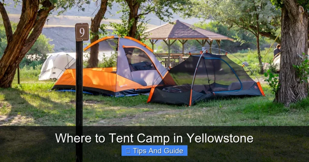 Where to Tent Camp in Yellowstone Where to Tent Camp in Yellowstone