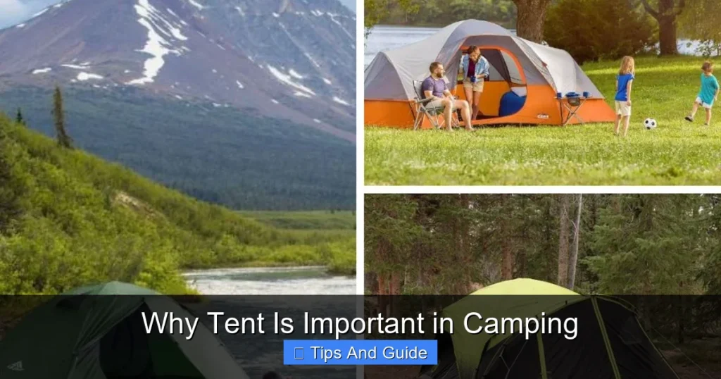 Why Tent Is Important in Camping Why Tent Is Important in Camping
